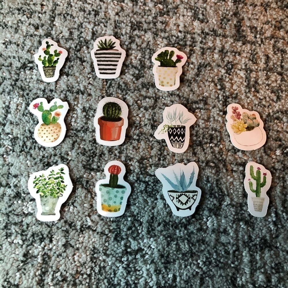 12 Cactus No Repeat Mini Stickers